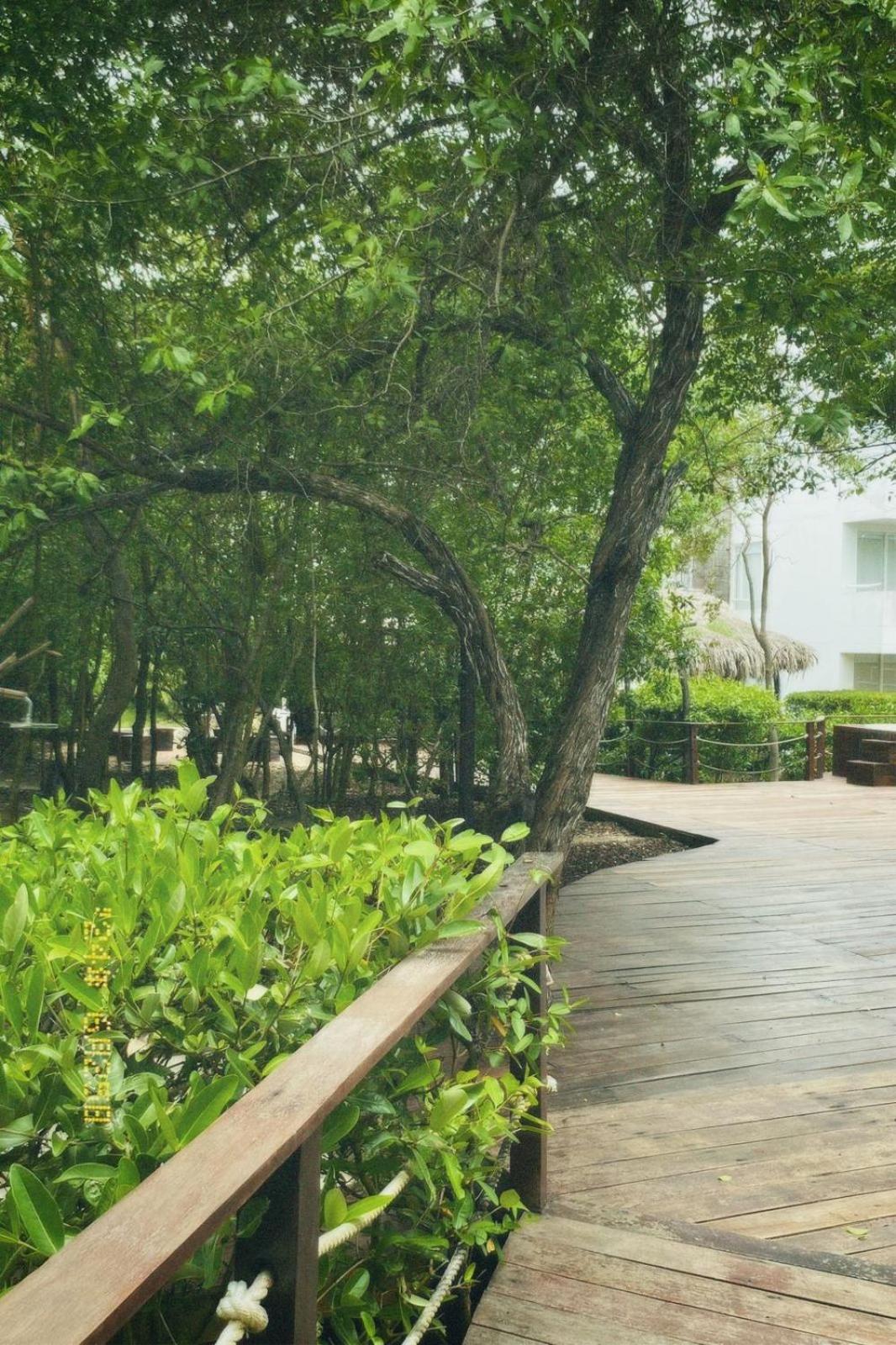 Santo Manglar Cartagena Life Wellness Spa Hotel Exteriér fotografie